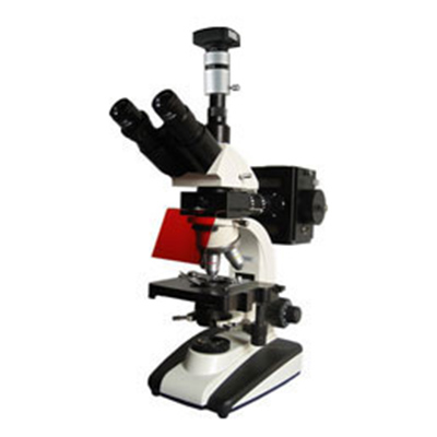 UIS荧光显微镜BM-20AYD（电脑、落射）