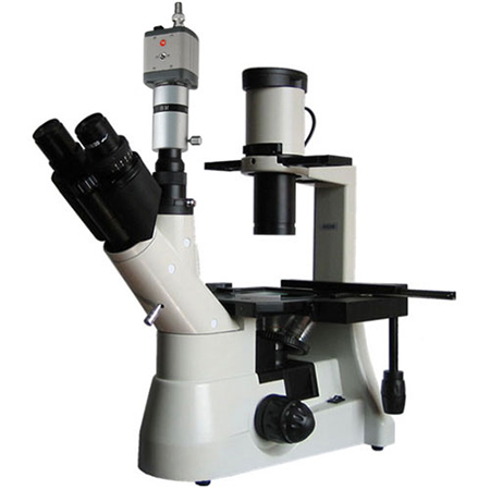 倒置生物显微镜BM-37XCC(电脑)